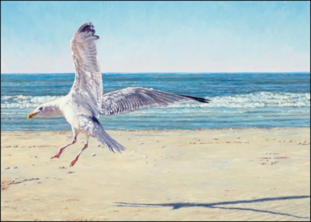 De Noordzee II, Happy Landing, Yvonne Melchers 