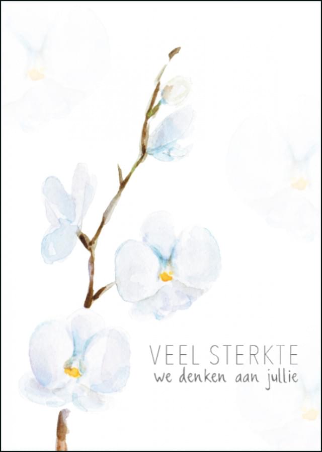 Veel sterkte. We denken aan jullie (magnolia), Michelle Dujardin