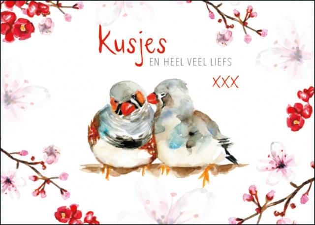 Kusjes en heel veel liefs, Michelle Dujardin