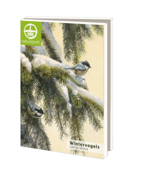 Kaartenmapje met env, groot: Wintervogels 3, Elwin van der Kolk, Natuurpunt