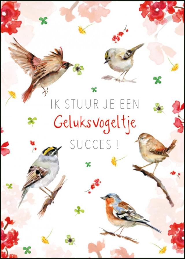 Ik stuur je een geluksvogeltje, succes!, Michelle Dujardin