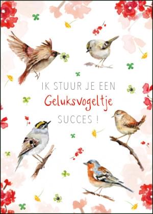 Ik stuur je een geluksvogeltje, succes!, Michelle Dujardin