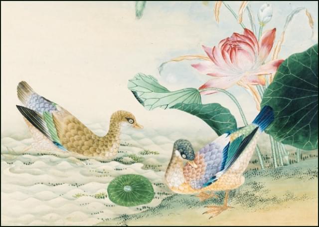 Waterlilies and two ducks, Chinese school, The Fitzwilliam Museum