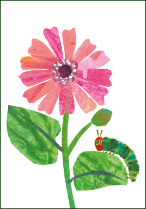 Flowers, The very hungry caterpillar, Eric Carle