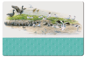 Placemat: Waddenvogels, Elwin van der Kolk, Vogelbescherming, Natuurpunt