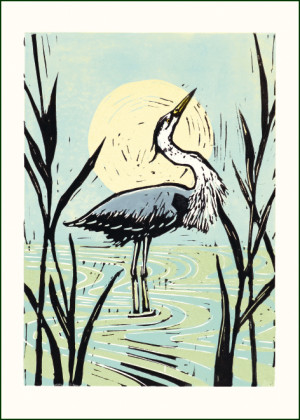 Blauwe reiger, Marieke ten Berge