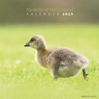 Die Niederlande - Ein Land voller Natur, Monatskalender 2025