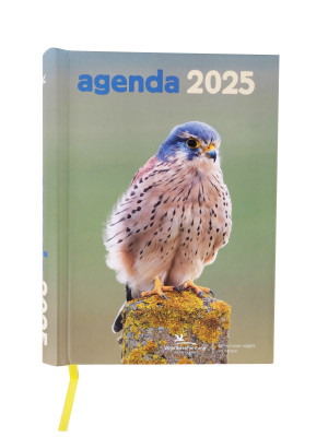 Vogelbescherming weekagenda 2025