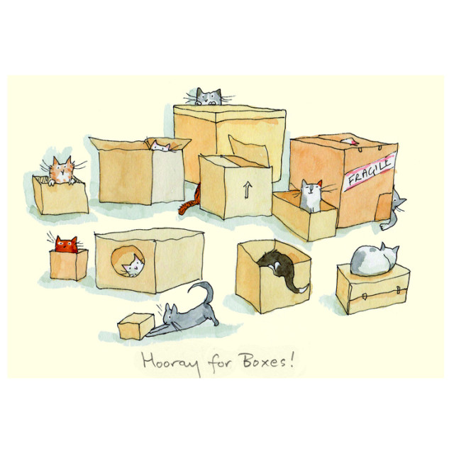 Hoorray for Boxes Card by Anita Jeram