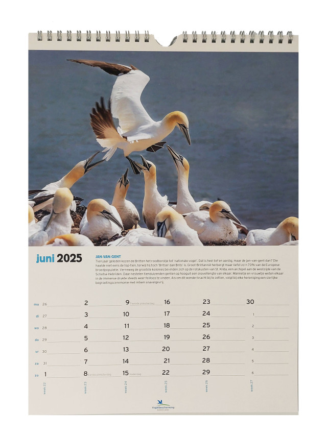 Vogelbescherming maandkalender 2025