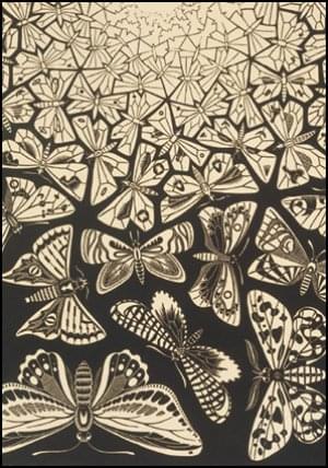 Butterflies, M.C. Escher